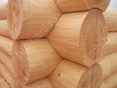 Дом 6×5 м в чашу, 30 м²