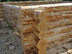 Баня 6×3 с террасой, 30 м²